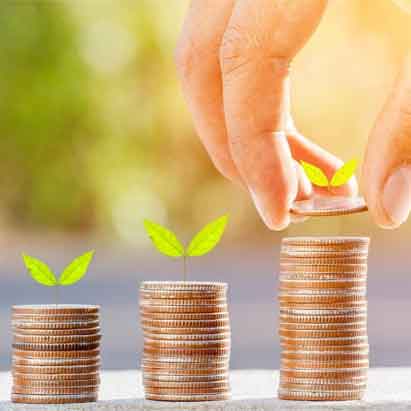 Coco Peat Supplier Sri Jayanthi Coirs